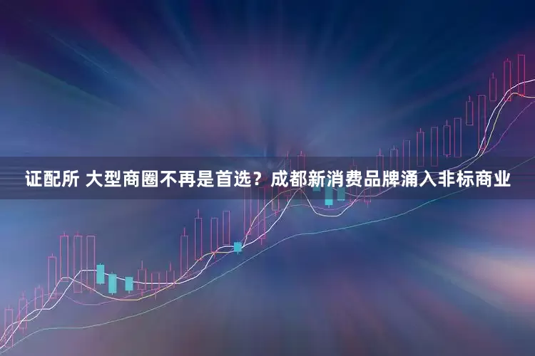 证配所 大型商圈不再是首选？成都新消费品牌涌入非标商业