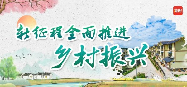 火牛配资 全流程农业机械化赋能 奏响现代农业发展“奋进曲”